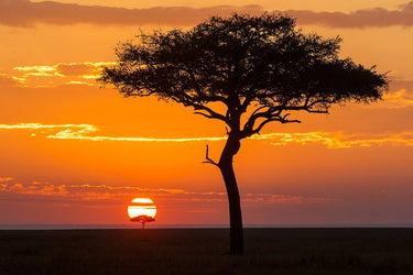 Feeling at home African Sunset II canvas art print by Jimmyz, vibrant sunset scene with warm colors and scenic landscape.