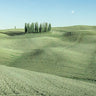 Green Italian countryside landscape canvas art print by Feeling at Home featuring rolling hills and vibrant greenery.