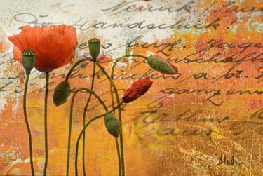 Feeling at home floral canvas art print featuring a vibrant poppies composition by Pinto Patricia, showcasing colorful flower artwork.