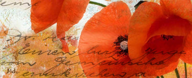 Feeling at Home Poppies Composition III floral canvas art print by Pinto Patricia showcasing vibrant red poppies on textured canvas.