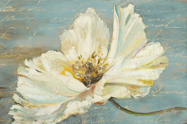 White peony floral canvas art print by Pinto Patricia, featuring detailed white peony flowers on a natural background.