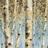 White Forest Nature canvas art print by Feeling at Home featuring a serene forest scene with white trees and lush greenery.