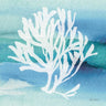 Art Print on canvas Sea Life Coral I by Audit Lisa Coastal Impressionism artwork