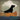Art Print on canvas Black Dog Canoe Ride by Fowler Ryan Animals Impressionism artwork