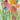 Art Print on canvas Longstem Bouquet I Square II by Vassileva Silvia Abstract Modernism artwork