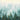 Misty Forest Nature canvas art print by Purinton Julia, featuring a serene forest scene with lush trees and soft mist.