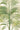 Canvas Art Print Palms II Bright Floral subject by Knighten Haley Fine Art Print quality