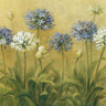 Art Print on canvas Agapanthus by Nai Danhui Floral Post-Impressionism artwork