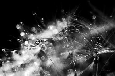 Art Print on canvas Dandelion Abstract II by Marshall Laura Abstract Post-Impressionism artwork