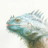 Art Print on canvas Tropical Iguana by Nai Danhui Animals Expressionism artwork