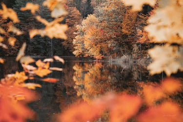 Autumn Reflections nature canvas art print by Marshall Laura, featuring vibrant fall foliage and serene landscape details.