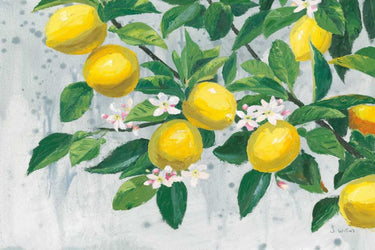 Art Print on canvas Zesty Lemons by Wiens James Floral Baroque artwork