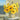 Sunflowers by the Sea coastal canvas art print by Nai Danhui, featuring vibrant sunflower flowers near the ocean.