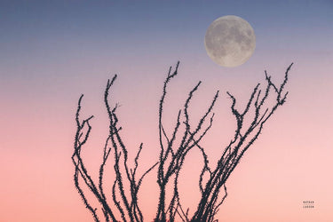 Reaching Up Moon photography canvas art print by Larson Nathan, featuring a celestial scene with a person reaching toward the moon.