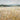 Art Print on canvas Field of Gold I by Nai Danhui Landscape Post-Impressionism artwork