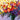 Artwork on canvas Wild and Flowery by Novak Shirley Floral Post-Impressionism artwork