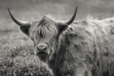 Art Print on canvas Highland Cow Spring Grazing by Larson Nathan Animals Post-Impressionism artwork