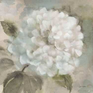 Art Print on canvas Soft Hydrangea by Trimbach Leslie Floral Post-Impressionism artwork