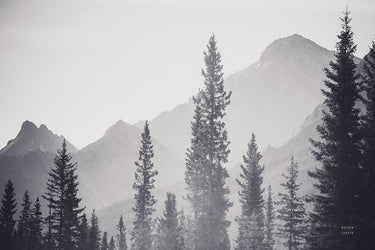 Art Print on canvas Kananaskis Country by Larson Nathan Landscape Impressionism artwork