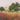 Canvas Art Print Meadowland Landscape subject by Purinton Julia Fine Art Print quality