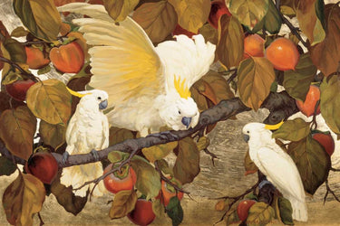 Colorful canvas art print of persimmons and cockatoos by Jesse Arms Botke, featuring vibrant birds and fruit in a natural setting.