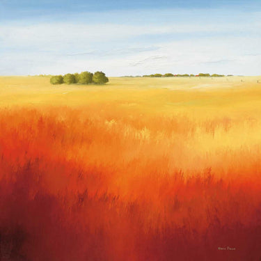 Red Field II European canvas art print by Paus Hans, featuring vibrant abstract landscape in warm red tones.