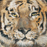 Colorful tiger animals canvas art print by Volynets Yuliya featuring vibrant tiger illustrations for home decor.