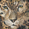 Leopard animals canvas art print by Volynets Yuliya featuring detailed leopard portraits on a natural background, by Feeling at Home.
