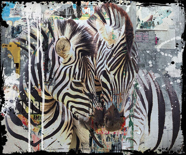 Wildlife zebra animals canvas art print by Feeling at Home featuring detailed zebra illustrations on textured canvas.