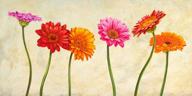Colorful Gerberas floral canvas art print by Ann Cynthia, featuring vibrant flower designs for home decor.