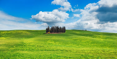 Close-up of "Cypresses Val d'Orcia Tuscany" landscape canvas art print by Krahmer Frank, featuring tall cypress trees and Tuscan scenery.