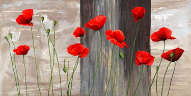 Feeling at Home country poppies floral canvas art print by Thomlinson Jenny showcasing vibrant poppy flowers on canvas.