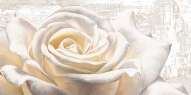 White on white decorative canvas art print by Thomlinson Jenny, featuring subtle textured design for modern home decor.