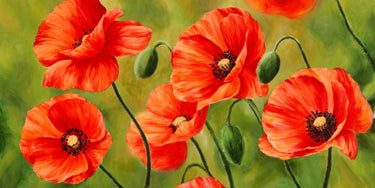 Feeling at Home floral canvas art print featuring a vibrant field of poppies by Villa Luca