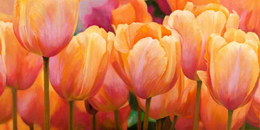 Feeling at home Summer Tulips floral canvas art print by Villa Luca showcasing vibrant tulip illustrations on textured canvas.