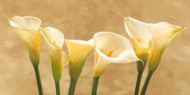 Feeling at Home Calle Bianche Floral canvas art print by Biffi Serena, featuring vibrant white floral design on canvas.