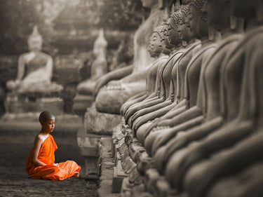 Art Print on canvas Young Buddhist Monk praying, Thailand (BW) by Pangea Images Photography Romanticism artwork