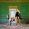 Unconventional Women'scape 7-In the Palace Animals canvas art print by Lauren Julian, featuring vibrant animal illustrations.
