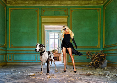 Unconventional Women'scape 7-In the Palace Animals canvas art print by Lauren Julian, featuring vibrant animal illustrations.