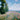 Artwork on canvas Meadow with Poplars by Monet Claude Landscape Post-Impressionism artwork