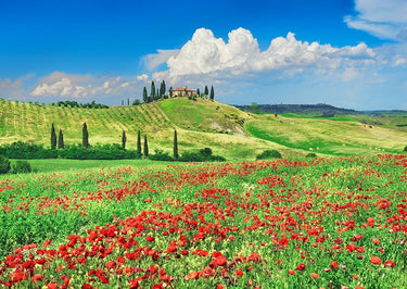 Tuscany landscape canvas art print by Feeling at Home featuring farmhouse, cypresses, and poppies in Val d'Orcia by Krahmer Frank