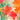 Abstract floral decorative motifs art print by Ratsenskiy Vadim, featuring colorful patterns on canvas for wall decoration.