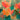 Abstract floral panel art print by Parr Kelly, featuring vibrant colors on canvas, from Feeling at Home collection.