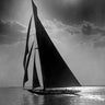 Vintage canvas art print of The Vanitie yacht during the America’s Cup, created by Levick Edwin, showing a classic sailing scene.