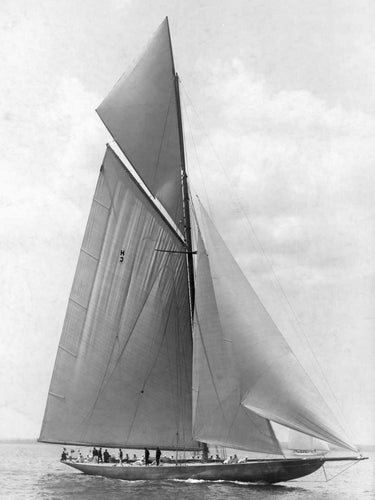 Vintage canvas art print by Levick Edwin featuring The Vanitie during the 1910 America's Cup, showcasing classic sailing scenes.
