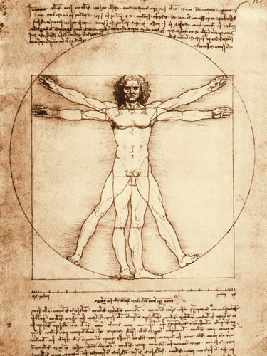 Leonardo da Vinci Vitruvian Man art print on canvas, featuring detailed anatomical drawing by Feeling at Home.