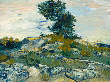 Feeling at Home Vincent van Gogh French canvas art print featuring The Rocks Country scene with vibrant colors and detailed brushwork.