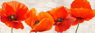 Bright poppies floral canvas art print by Thomlinson Jenny, featuring vibrant red and orange flowers on a colorful background.