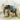 Feeling at Home Pachyderm Dance 2 animals canvas art print by Roko Ken, featuring colorful elephant and animal illustrations.