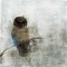 Abstract canvas art print of a guardian owl by Sullivan Myles, featuring a detailed, artistic depiction of an owl in neutral tones.